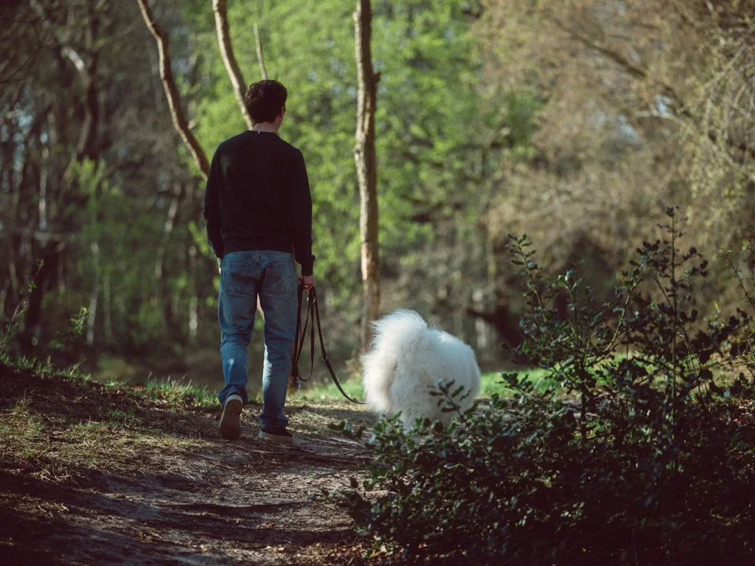 Une personne et son chien sur un chemin boisé.